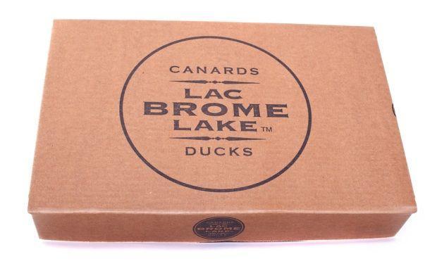 Canards lac brome lake ducks